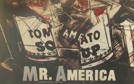 Mr. AMERICA - L'arte pop, la celebrit e la vendetta