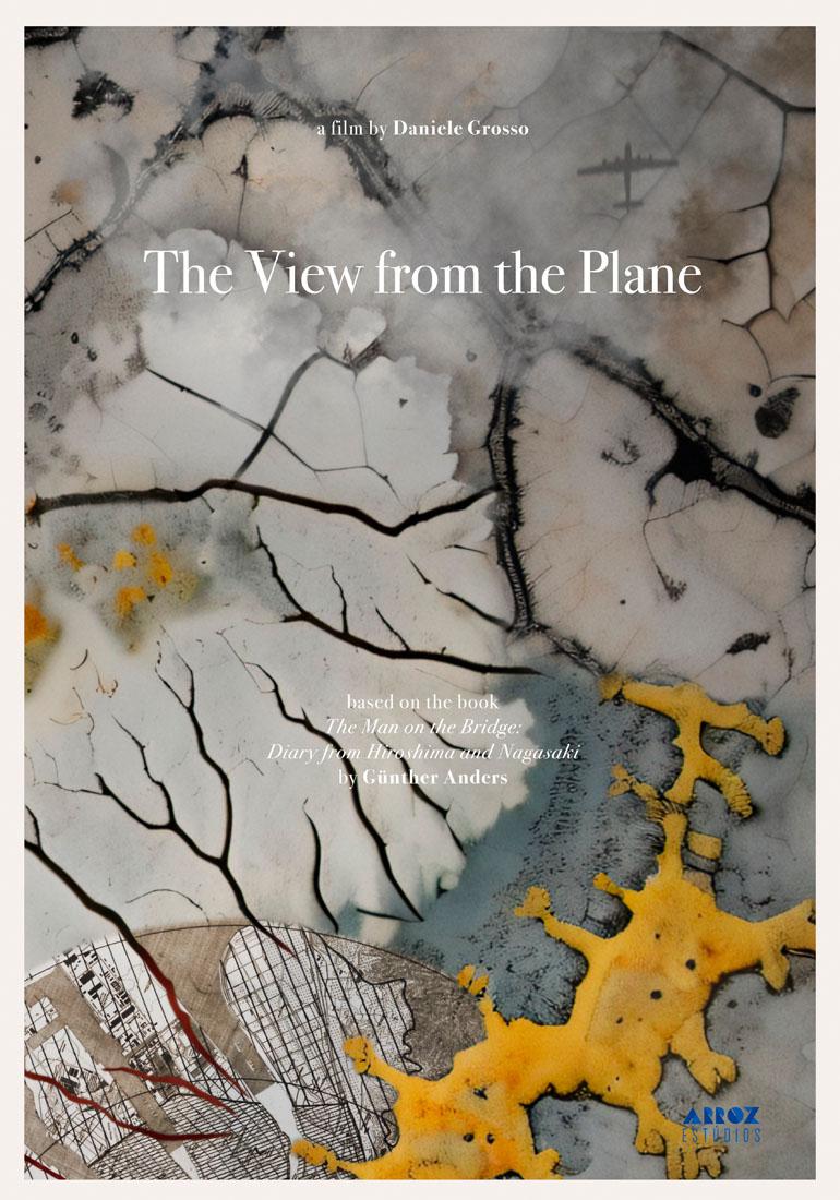 locandina di "The View from the Plane"