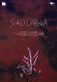 locandina di "Salicornia"