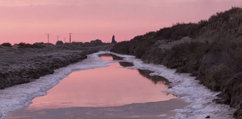 BFM 43 - VISION D'ETE': alla ricerca di un nuovo sguardo del mondo