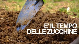 Terra di Tutti Film Festival: gli orti di Bologna sul grande schermo marted 9 ottobre