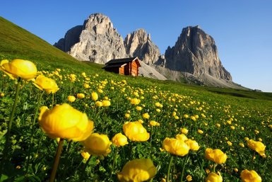 Trentino - Cinema e Turismo per la prossima estate
