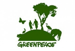Andrea Purgatori nuovo presidente di Greenpeace Italia