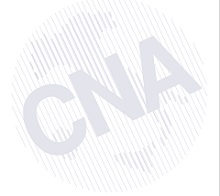 CNA CINEMA E AUDIOVISIVO - Internazionalizzazione e distribuzione per il rilancio dell'industria cinematografica