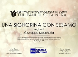 UNA SIGNORINA CON SESAMO - In concorso per il Premio Sorriso RAI Cinema Channel