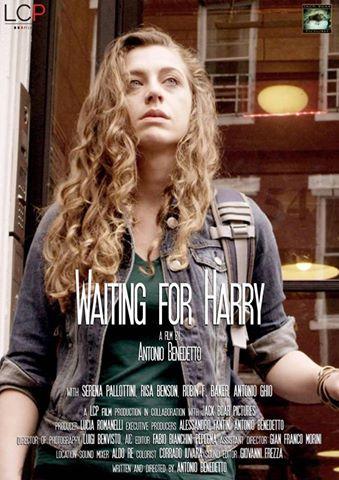 locandina di "Waiting for Harry"