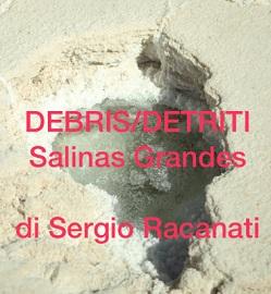 locandina di "DEBRIS/DETRITI_Salinas Grandes"