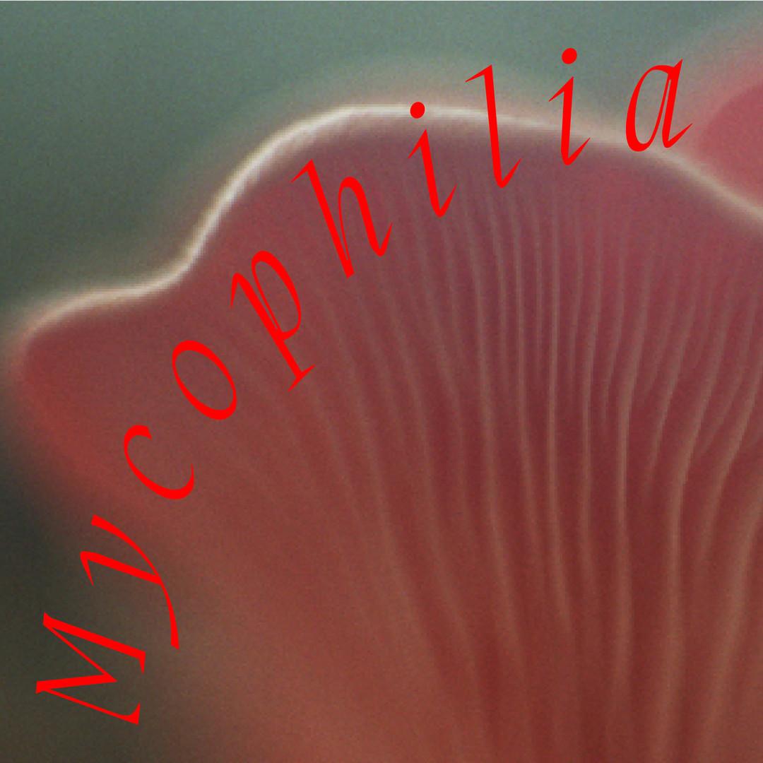 locandina di "Mycophilia"