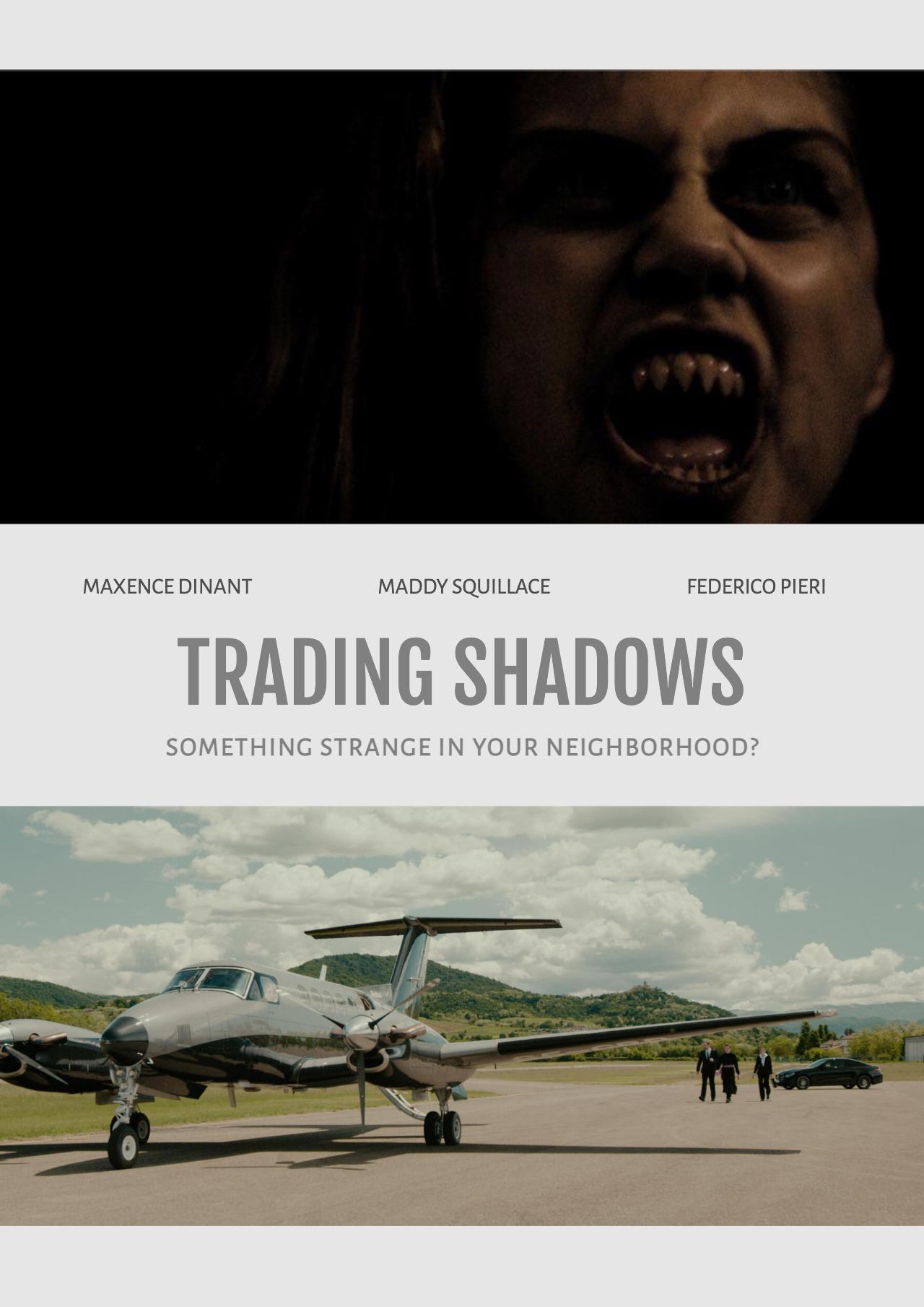 locandina di "Trading Shadows"